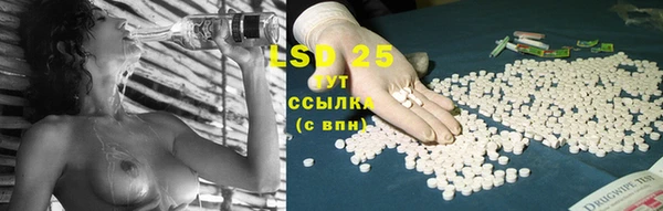 шишки Баксан