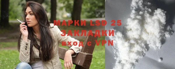 шишки Баксан