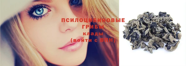 шишки Баксан