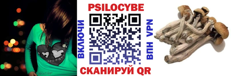 hydra ONION Голицыно Галлюциногенные грибы GOLDEN TEACHER